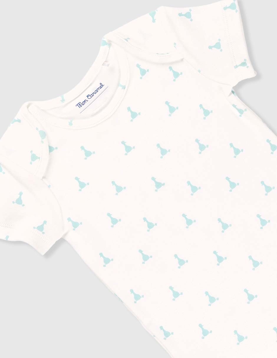 Set body 5